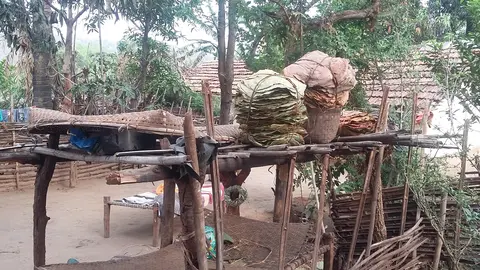 जमा कीतव कूळिङ  Storage of leaf plates