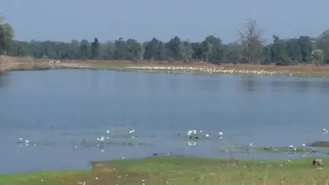 पेर्मिल तळय