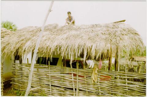 कोळ्कापोग़ोन ईंदिङ वेसना  Laying "inding" grass on the tiled roof of a shed