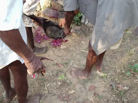 पिंडि पोल्वा - मोकता नेतुर अर्हतह्‌तोर