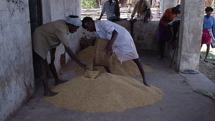 पेर्माह्‌कु, बूमयाह्‌कु कोड वाटिह्‌तोर